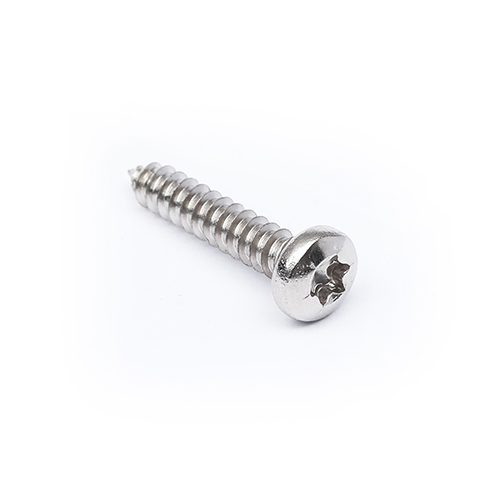 Dummy Head Torx Pointed Screws