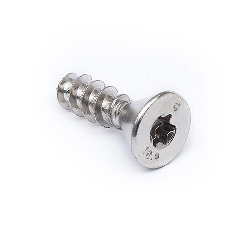 Countersunk Head Torx Pt Bolts