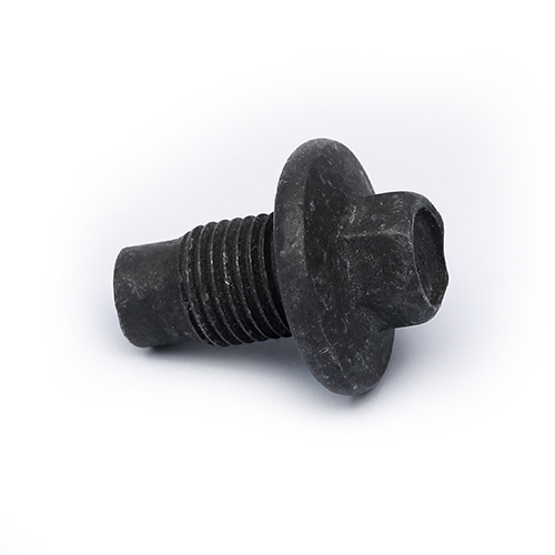 Crankcase Plug Bolts